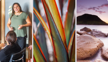 research post pics (10 x 6 cm) (350 x 210 px) (4)